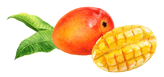 Coulis mangue